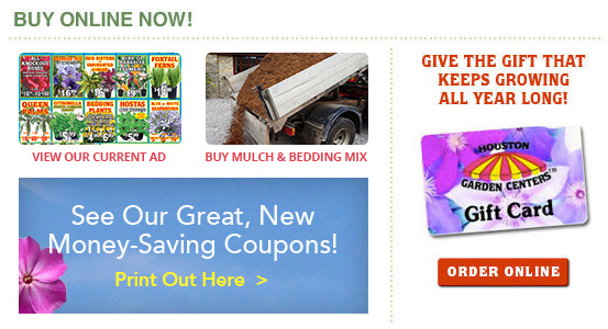 houston garden centers houstons largest selection of plants trees shrubs bushes and flowers - Houston Garden Center Coupon houston garden centers houstons largest selection of plants trees shrubs bushes and flowers - Houston Garden Center Coupon