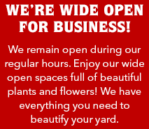 We're Wide Open for Business!