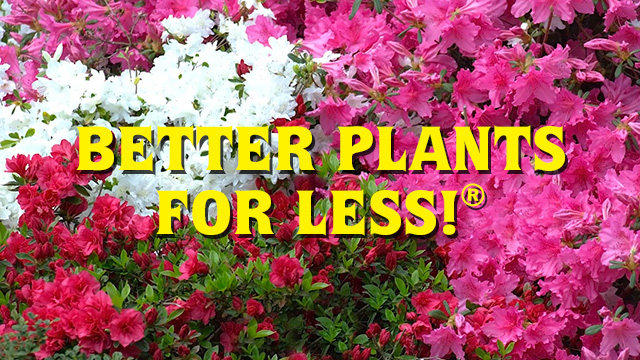 Better Plants for Less!